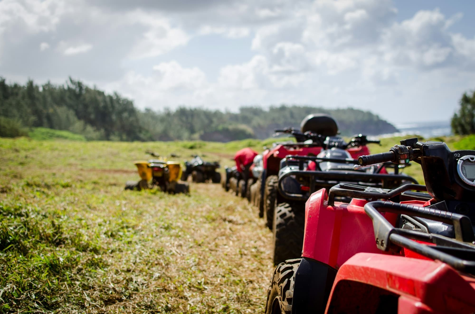 Row of utility ATVs with molded body panels, steel racks and off-road tires parked on a grassy trail